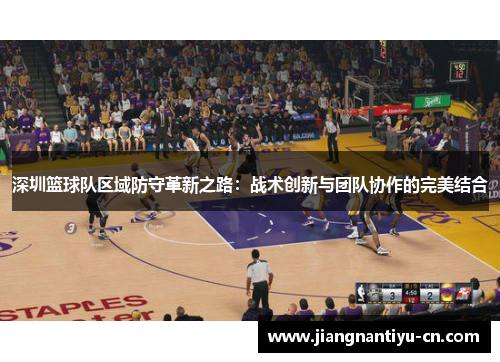 深圳篮球队区域防守革新之路：战术创新与团队协作的完美结合