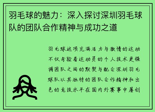 羽毛球的魅力：深入探讨深圳羽毛球队的团队合作精神与成功之道