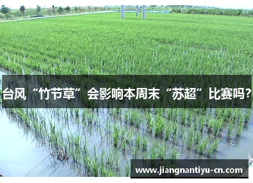 台风“竹节草”会影响本周末“苏超”比赛吗？